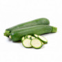 COURGETTE VRAC 1KG