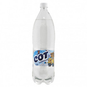 Boisson aux fruits Oasis Pêche Abricot - 2L - Drive Z'eclerc