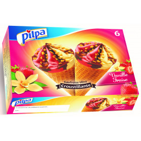 CONE PILPA VANI/FRAISE X6 444G