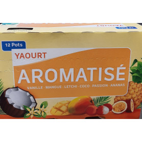 YAOURT AROMATISE DES ILES X12 PP