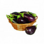 AUBERGINE VRAC 1KG