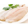 FILET DE PANGASIUS 360G PNE    FILET DE PANGASIUS 360G PNE