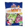 ASSORTIMENT MINI SACHETS " LES MINIS"- COPAIN COPINE 500G