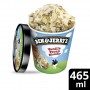 BEN JERRYS VANILLE PECAN 465ML