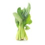 BREDE - PIECE