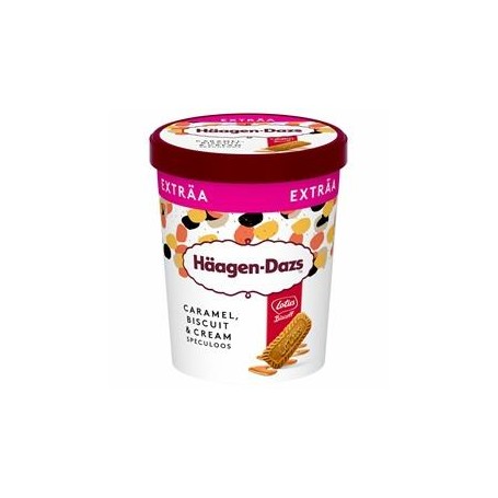 POT DE GLACE H-DAZS CRML BISCUIT/CREAM 560G