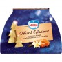 Bûche Nestlé Délice à l'Ancienne