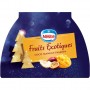 Bûche Nestlé Délice Etoilé Fruits Exotiques