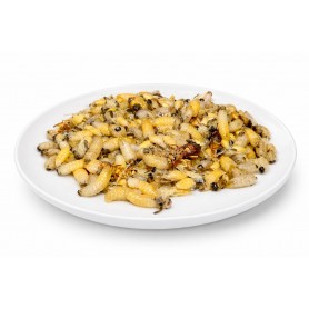 LARVES DE GUEPES MADA 200G