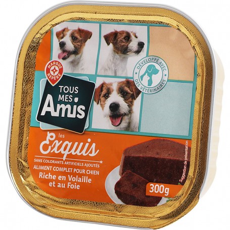 BARQUETTE EXQUIS FOIE VOLAILLE LYDOG 300GRS
