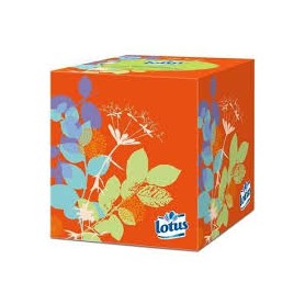 Cube de Mouchoirs x48 - LOTUS