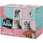 MENUS POUR CHAT GOURMAND JUNIOR 12X100G TOUS MES AMIS