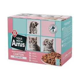 MENUS POUR CHAT GOURMAND JUNIOR 12X100G TOUS MES AMIS