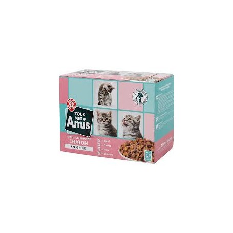 MENUS POUR CHAT GOURMAND JUNIOR 12X100G TOUS MES AMIS