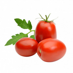 TOMATE ALLONGEE VRAC 1KG