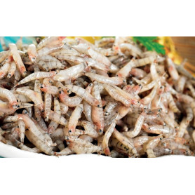 Bichique Surgelé 225G