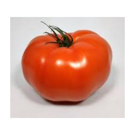 GROSSE TOMATE 1KG