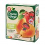 GOURDES ALLEGEES POMME POIRE 4X90G DOUCEUR DU VERGER