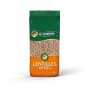 LENTILLE GRISE LE FORBAN 1KG
