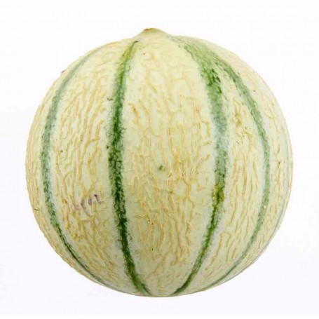 MELON VRAC 1KG