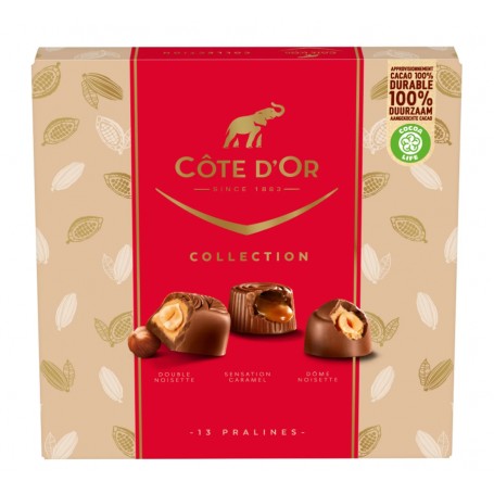 Assortiment de Chocolats - COTE D'OR- 135g