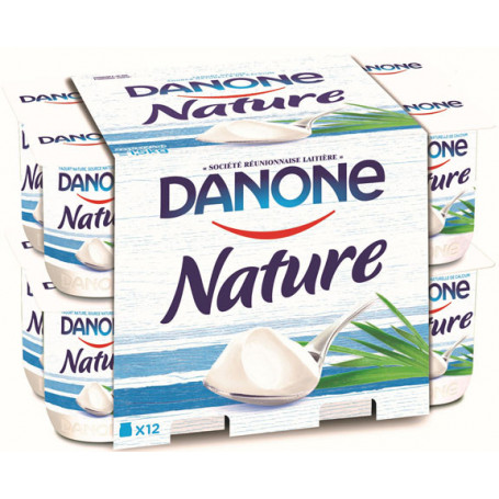 YAOURT NATURE-DANONE-12X125G