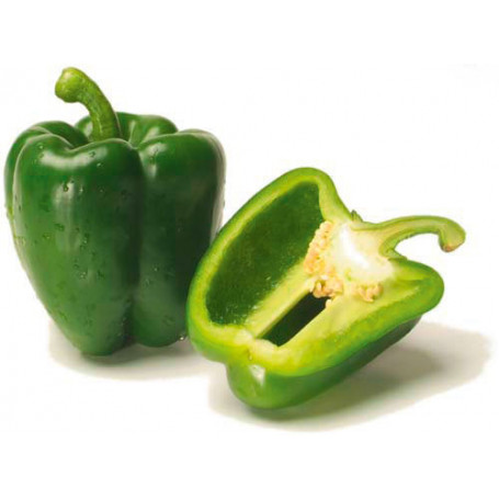 POIVRON VERT 1KG