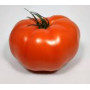 GROSSE TOMATE 1KG