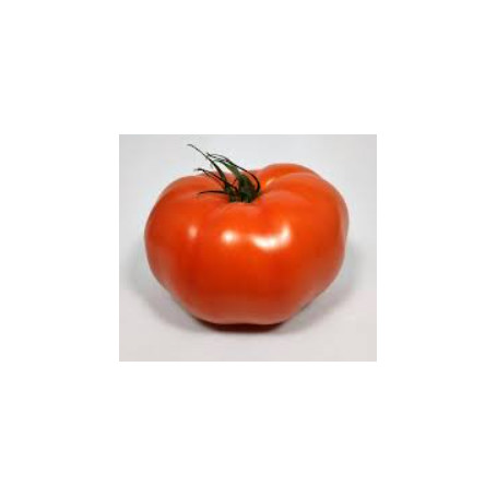 GROSSE TOMATE 1KG