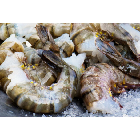 QUEUES CAMARONS 16/20 - 280G