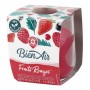 BOUGIE FRUITS ROUGES 30H(1066591)