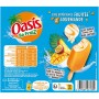 Bâtonnet OASIS SO FRUIZ vanille sauce et enrobage fruits exotiques x6