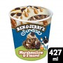Ben  Jerry's Glace en Pot Sundae Marshmallow  S'more 427ml