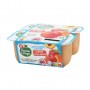 SPEC FRUIT POM/PECHE/ABRICOT SSA X4(1061991)