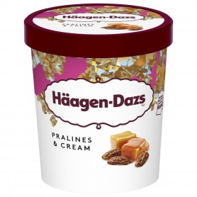Häagen-Dazs Pot Pralines  Cream 460ml