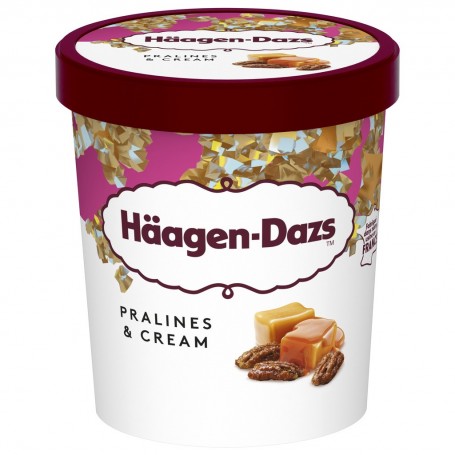 Häagen-Dazs Pot Pralines  Cream 460ml