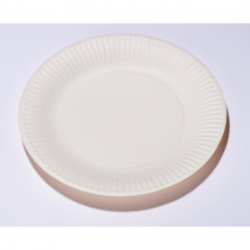 50 ASS PLATES 23CM BLANC SANS FILM PE