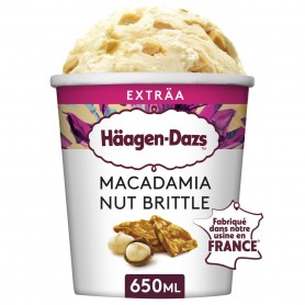 POT DE GLACE MACADAMIA NUT H-DAZS 560G