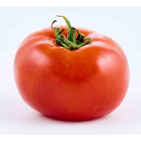 Tomate grappe - 1kg