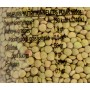 Lentilles blondes - 1kg
