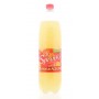 SODA AUX AGRUMES PET 1.5L(1069145)