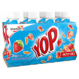 YOP 8X250G PETIT DEJ MONEY YOPLAIT