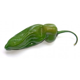 GROS PIMENT 500GR