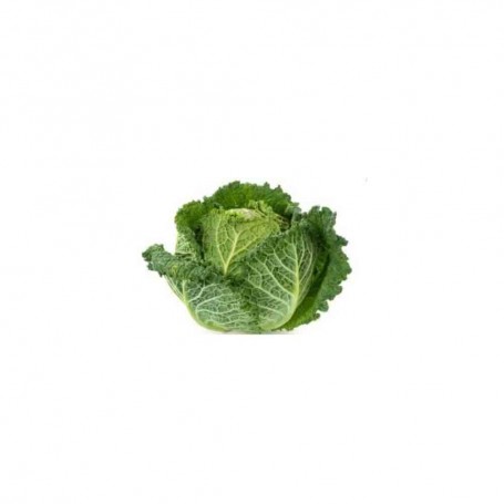 Chou vert pièce