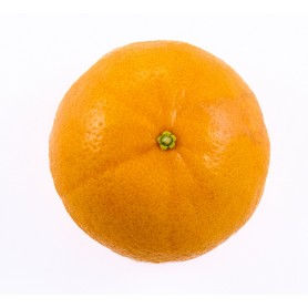 MANDARINE NOVA VRAC