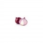 Oignon rouge - 1kg