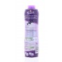 SIROP CASSIS BIDON 75 CL(1003917)