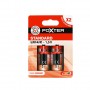 PILES ALCA LR14 - C X2 FOXTER