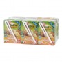 JUS D'ANANAS ABC BRIQUETTES 6X20CL(1059147)