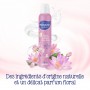 Monsavon Déodorant Femme Spray Fleur de Lotus Presque Divine 200ml